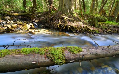 Interior Watershed Task Force Presentation