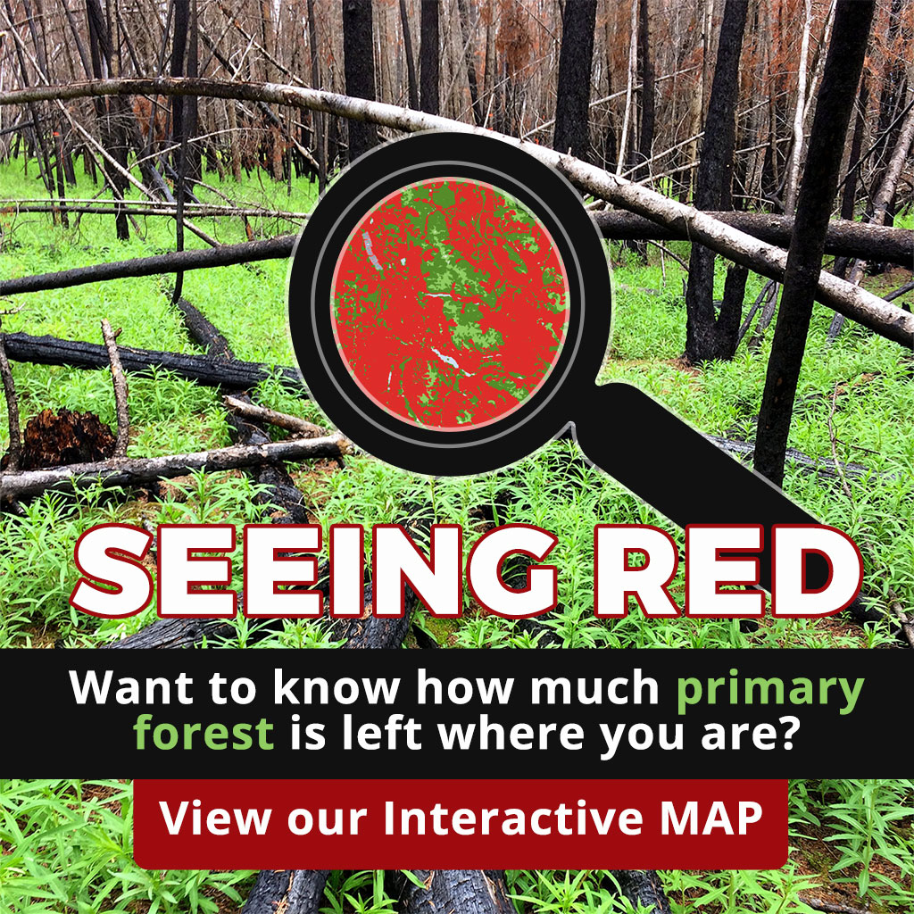 seeing-red-link2 Seeing Red